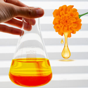 Lutein Oil