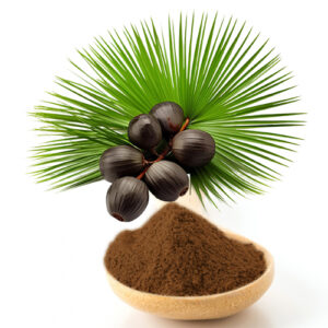 Saw Palmetto Powder